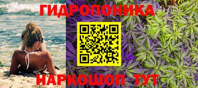 прущий лед Дмитров